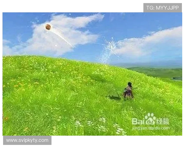 开云网页版的优势与特色：为何越来越多人选择它