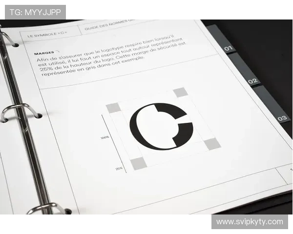 开云集团旗下品牌的市场营销策略与品牌推广案例分析