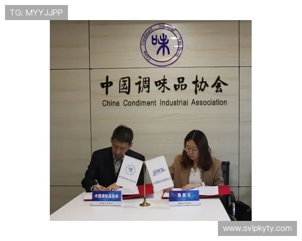 开云集团旗下品牌排名最新分析，全面解读各品牌市场表现与用户口碑