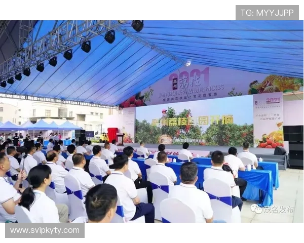 开云金年会平台网页版最新活动安排与时间表,掌握每一场精彩纷呈的线上盛事 开云金年会平台网页版最新活动安排与时间表,掌握每一场精彩纷呈的线上盛事