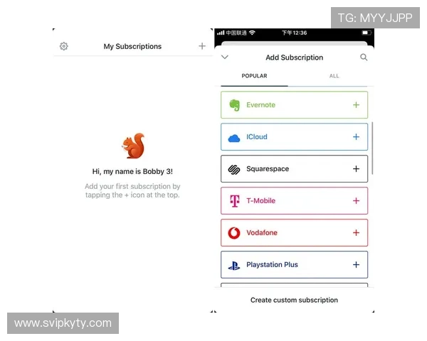 掌握Kaiyun开云VIP激活流程，轻松开启尊贵会员身份享受专属福利