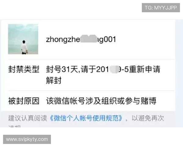 云开登录娱乐平台怎么登录账号密码忘记找回流程及安全验证步骤介绍